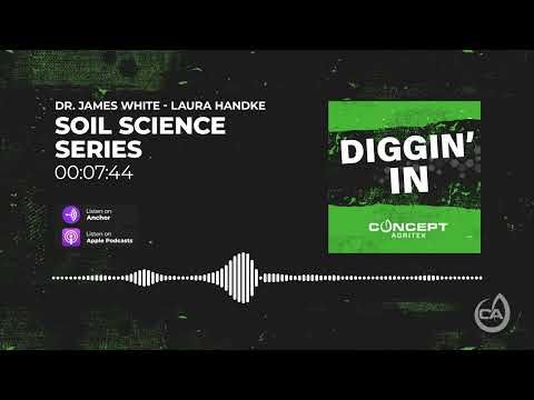 Diggin' In Podcast cover art