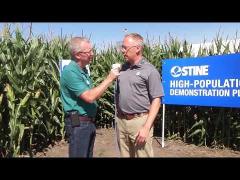Stine High-Population Corn Program (Farm Progress Show 2016) cover art