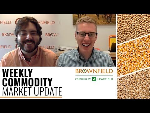 Weekly Commodity Market Update for August 16, 2022 cover art