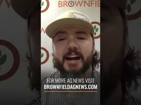 EPA opens E15 sales for summer: Weekly Commodity Market Update for 5/2/23 #shorts #agriculture cover art