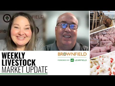 USDA raises beef and pork production estimates: Weekly Livestock Market Update for 1/13/23 cover art