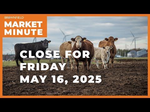 Cattle closed higher Friday | Closing Market Minute cover art