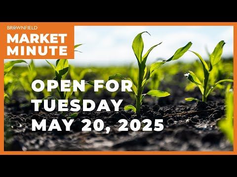 Corn is up Tuesday morning | Opening Market Minute cover art