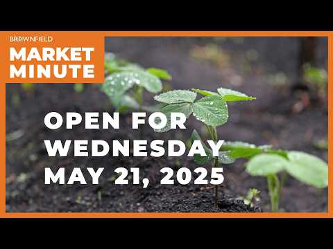 Soybeans are up Wednesday morning | Opening Market Minute
