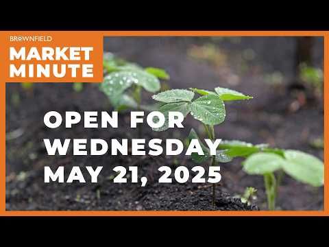 Soybeans are up Wednesday morning | Opening Market Minute cover art