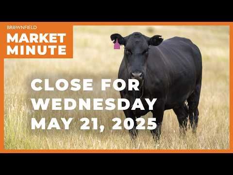 Cattle were mixed at midweek | Closing Market Minute cover art