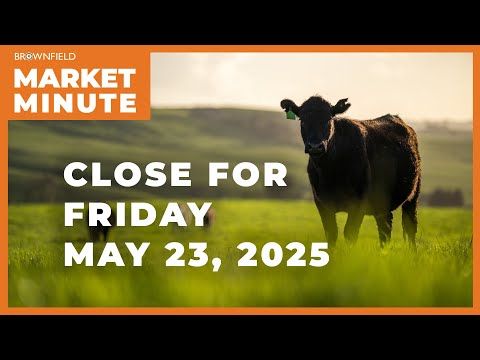Cattle were mostly higher Friday | Closing Market Minute cover art
