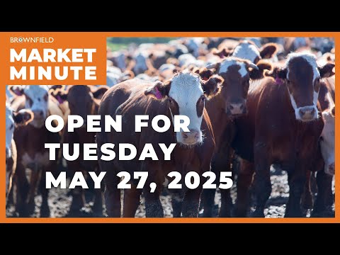 Cattle are up Tuesday morning | Opening Market Minute