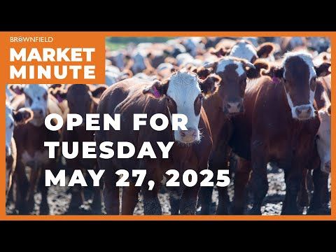 Cattle are up Tuesday morning | Opening Market Minute cover art