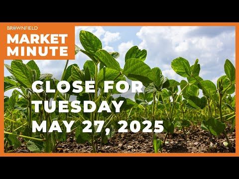 Soybeans closed higher Tuesday | Closing Market Minute cover art