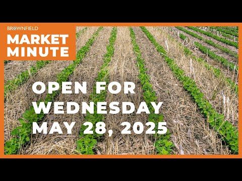 Soybeans are lower Wednesday | Opening Market Minute cover art