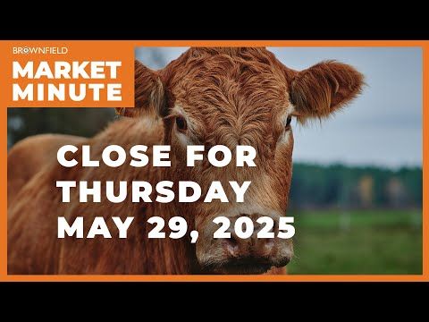 Cattle closed higher Thursday | Closing Market Minute cover art
