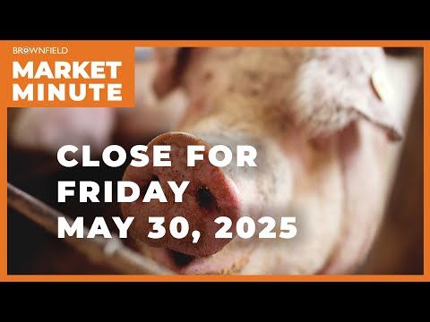 Hogs were higher Friday | Closing Market Minute cover art