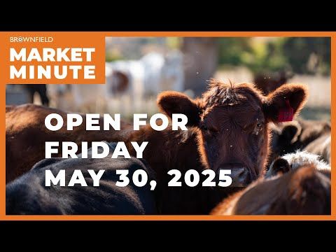 Cattle are up Friday morning | Opening Market Minute cover art