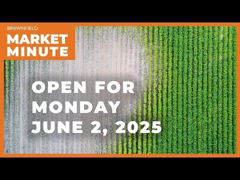 Soybeans are lower Monday morning | Opening Market Minute cover art