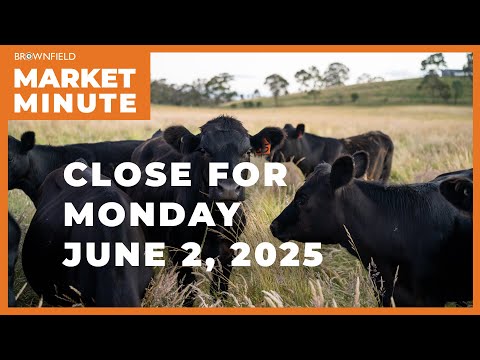Cattle were higher Monday | Closing Market Minute