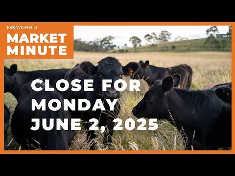Cattle were higher Monday | Closing Market Minute cover art