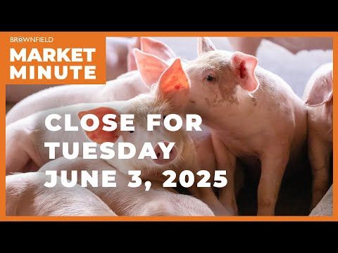 Hogs were mixed Tuesday | Closing Market Minute cover art