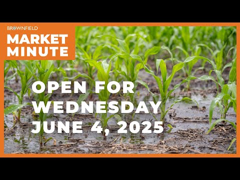 Corn is up Wednesday morning | Opening Market Minute