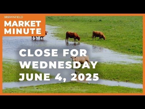 Cattle were higher at midweek | Closing Market Minute cover art
