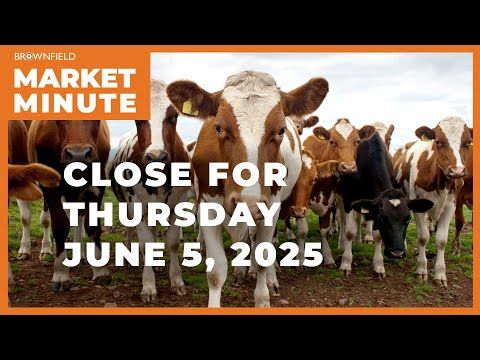 Cattle closed sharply higher Thursday | Closing Market Minute cover art