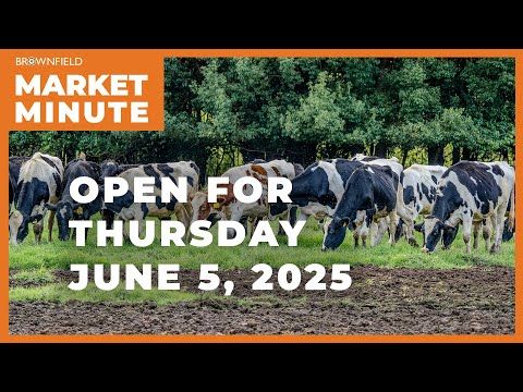 Cattle are higher early Thursday | Opening Market Minute cover art