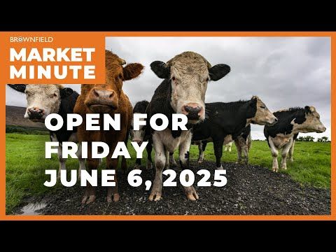 Cattle are higher Friday morning | Opening Market Minute cover art