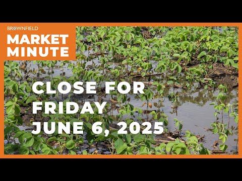 Soybeans were higher Friday | Closing Market Minute cover art