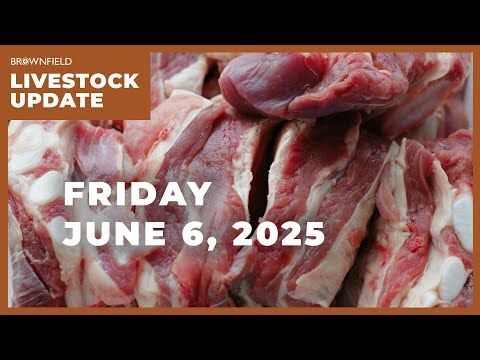 April beef imports up, exports decline from year-ago levels | Weekly Livestock Market Update cover art