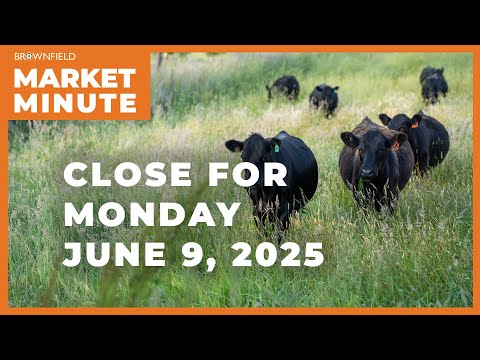 Cattle futures were higher Monday | Closing Market Minute