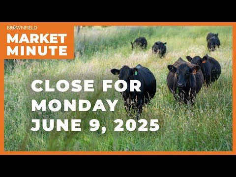 Cattle futures were higher Monday | Closing Market Minute cover art