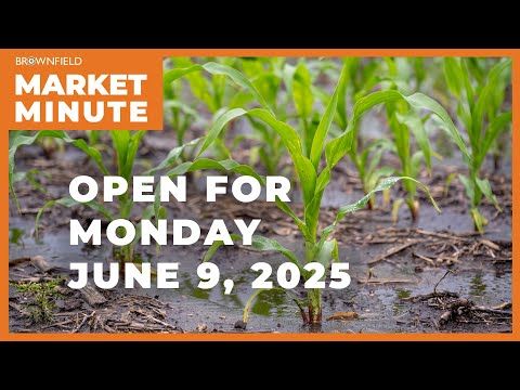 Corn is down Monday morning | Opening Market Minute cover art