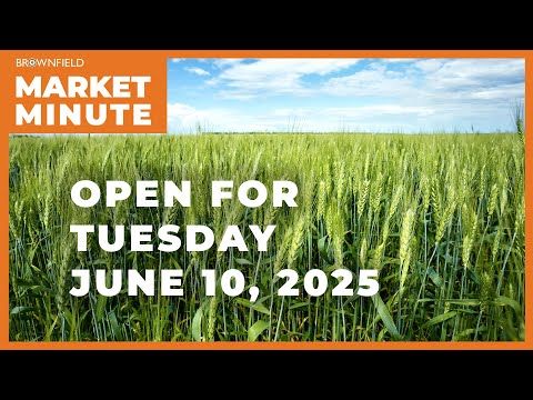 Wheat is lower Tuesday morning | Opening Market Minute cover art