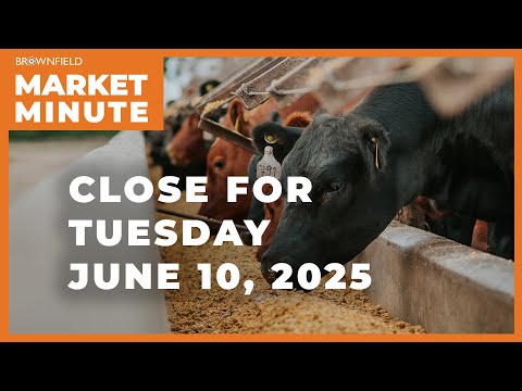 Cattle were mostly higher Tuesday | Closing Market Minute