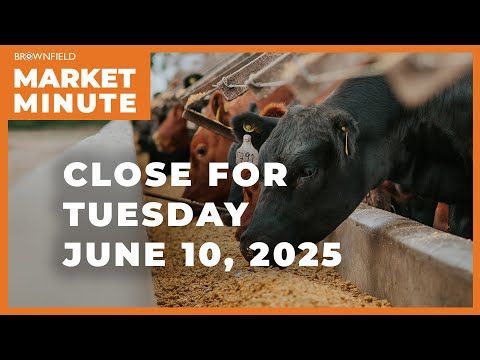 Cattle were mostly higher Tuesday | Closing Market Minute cover art