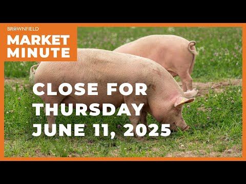 Hogs were mostly higher at midweek | Closing Market Minute cover art