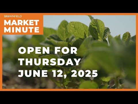 Soybeans are up Thursday morning | Opening Market Minute cover art