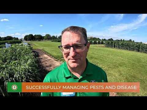 Corteva 2025 Field Day: Successfully managing pests and disease cover art