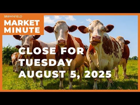 Cattle closed sharply higher Tuesday | Closing Market Minute cover art