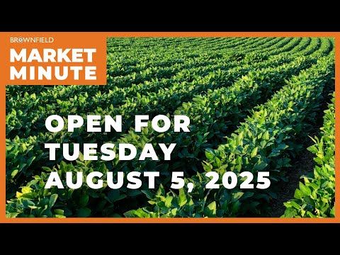Soybeans are up Tuesday morning | Opening Market Minute cover art