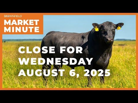 Cattle closed sharply higher at midweek | Closing Market Minute cover art