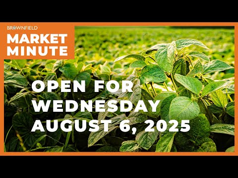 Soybeans are up Wednesday morning | Opening Market Minute