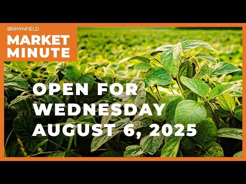Soybeans are up Wednesday morning | Opening Market Minute cover art