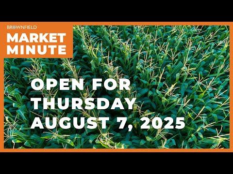 Corn is up Thursday morning | Opening Market Minute cover art