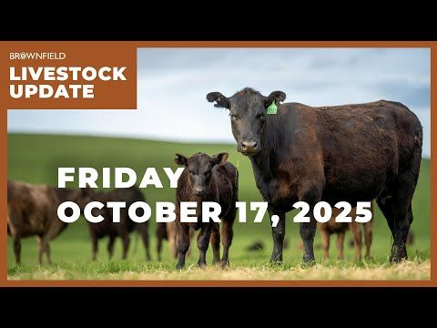 Feeder cattle were only $3.50 lower for the week despite closing limit down Friday cover art