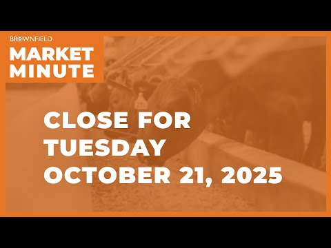 Cattle closed higher Tuesday | Closing Market Minute