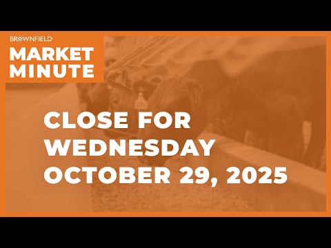 Cattle futures bounced at midweek | Closing Market Minute