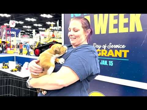 National Day of Service with Austin FFA member, Ele Struck cover art