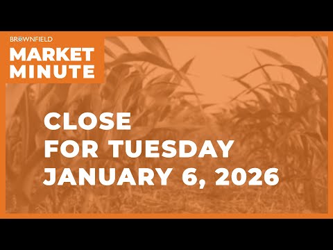 Cattle futures were higher Tuesday | Closing Market Minute