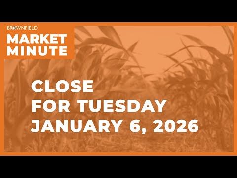 Cattle futures were higher Tuesday | Closing Market Minute cover art